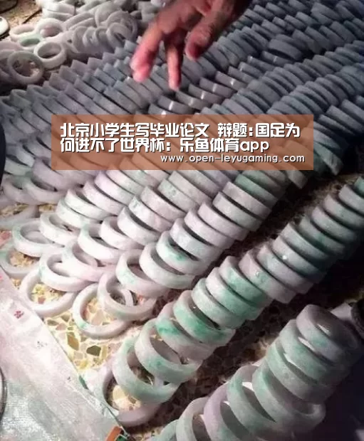 北京小学生写毕业论文 辩题:国足为何进不了世界杯:乐鱼体育app(图2) 乐鱼app